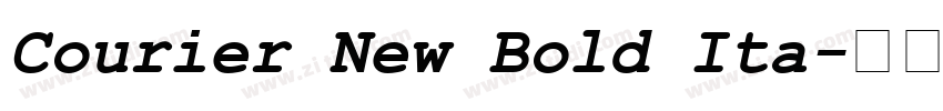 Courier New Bold Ita字体转换